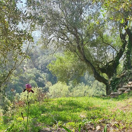 Casa Das Janelinhas - Cottage Near Sintra, Mafra, Ericeira Εξωτερικό φωτογραφία