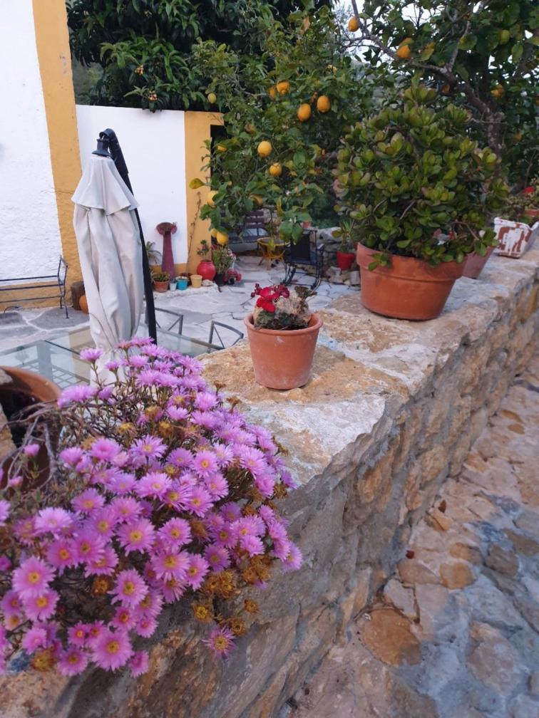 Casa Das Janelinhas - Cottage Near Sintra, Mafra, Ericeira Εξωτερικό φωτογραφία