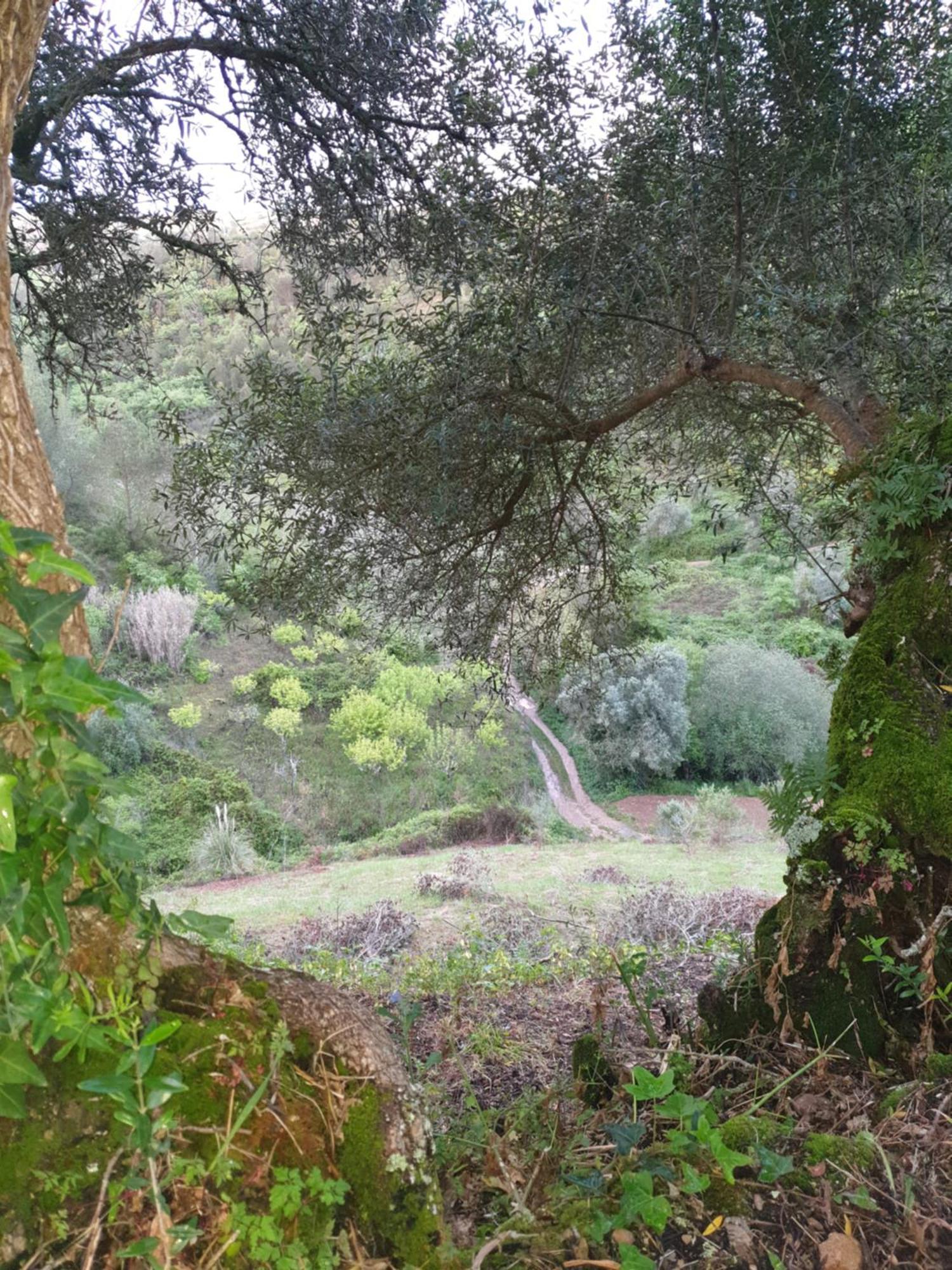 Casa Das Janelinhas - Cottage Near Sintra, Mafra, Ericeira Εξωτερικό φωτογραφία