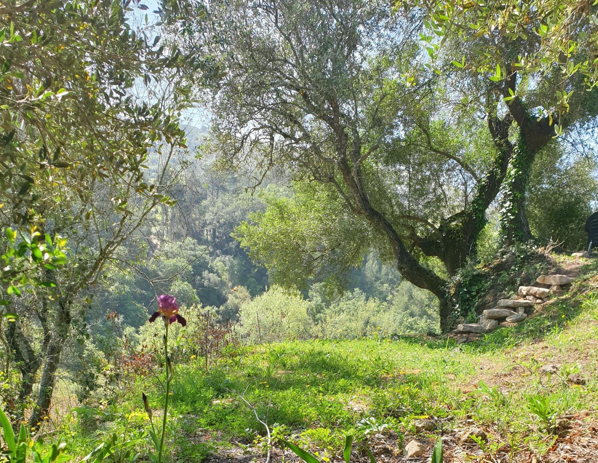 Casa Das Janelinhas - Cottage Near Sintra, Mafra, Ericeira Εξωτερικό φωτογραφία